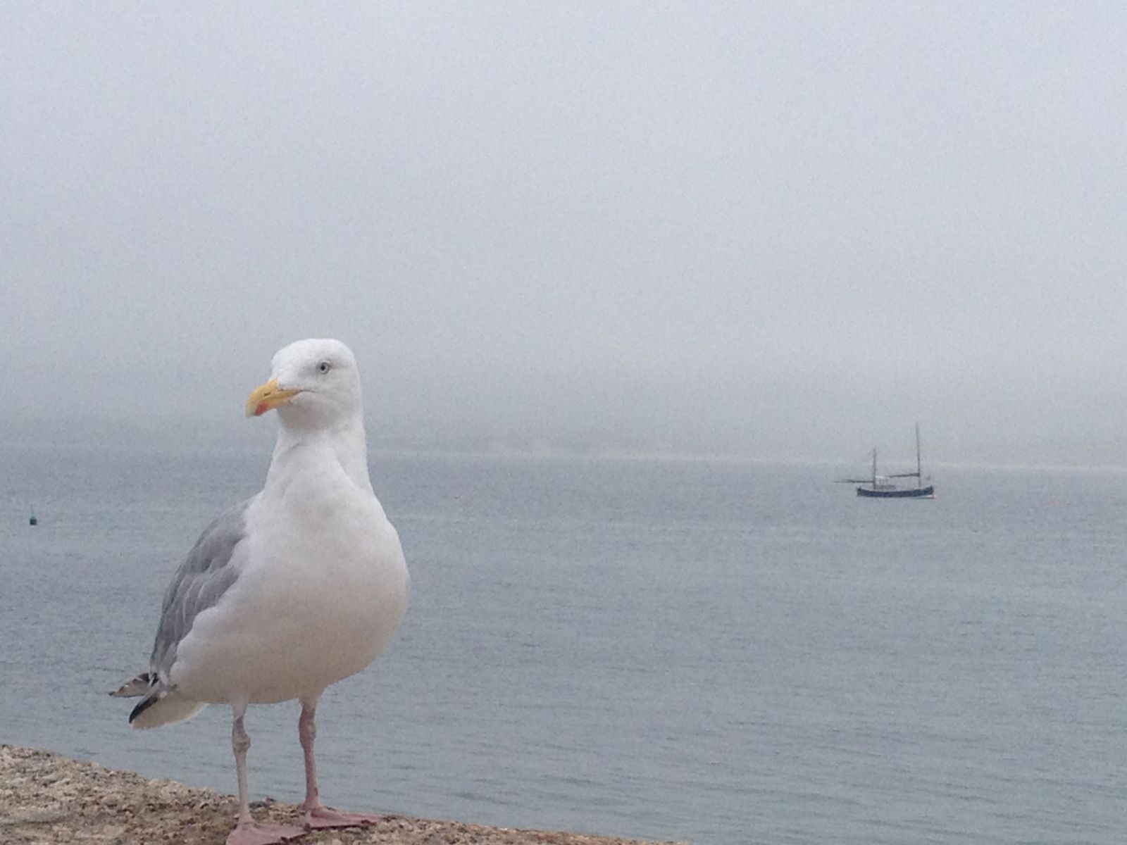 St. Ives, Cornwall